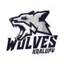 Kralupy Wolves grey